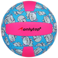 Волейбольный мяч ONLYTOP «Кошечка», машинная сшивка, 18 панелей, р. 2, PVC