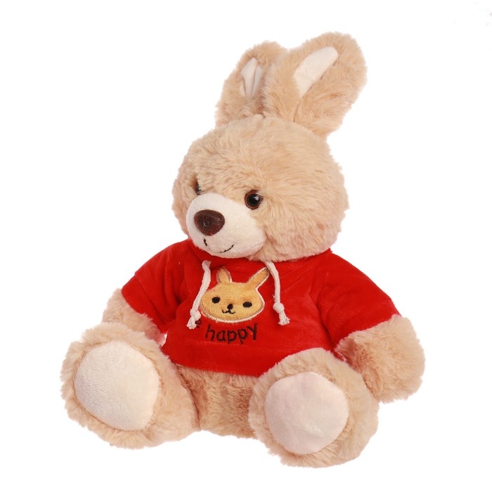 Мягкая игрушка «Зайчик в кофте», цвета МИКС Мягкая игрушка «Зайчик в кофте», цвета МИКС