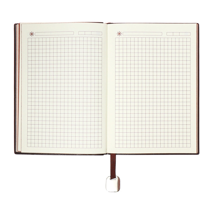 Органайзер на кольцах, А5, 116л, клетка, обл.кожзам, коричневый срез, Синий Органайзер на кольцах, А5, 116л, клетка, обл.кожзам, коричневый срез, Синий