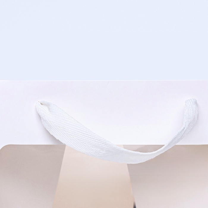 Пакет подарочный, крафт, с окном, «Белый», 20 х 20 х 20 см Пакет подарочный, крафт, с окном, «Белый», 20 х 20 х 20 см