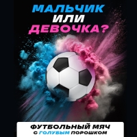 Набор для гендер пати "Шар с краской холи", мальчик