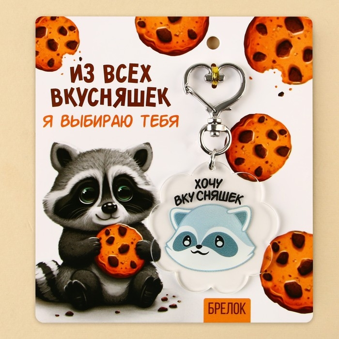 Брелок для ключей акриловый «Енот», 5 х 4,9 см