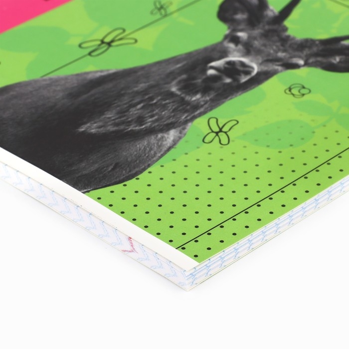 Предметная тетрадь А5, 48 л на скрепке «Яркий. Биология» ТВИН лак, уф лак, конгрев Предметная тетрадь А5, 48 л на скрепке «Яркий. Биология» ТВИН лак, уф лак, конгрев