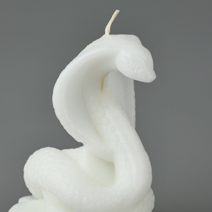 Новый год 2025! Свеча интерьерная «Новогодняя коллекция: Змея на монетках», белая, 78 х 61 х 52