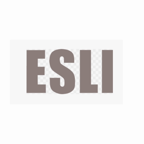 Бренд ESLI