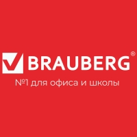 Файл-вкладыш А4, 30 мкм, BRAUBERG, тиснение, вертикальный, 100 штук