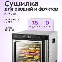 Сушилка для овощей и фруктов элктрическая КТ-4946 - 1000 Вт