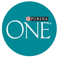 Сухой корм Purinа One medium/maxi для взрослых собак, говядина/рис, 1,8 кг