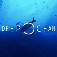 Оголовок скважинный Deep OCEAN ОГС 113-127/32, пластиковый