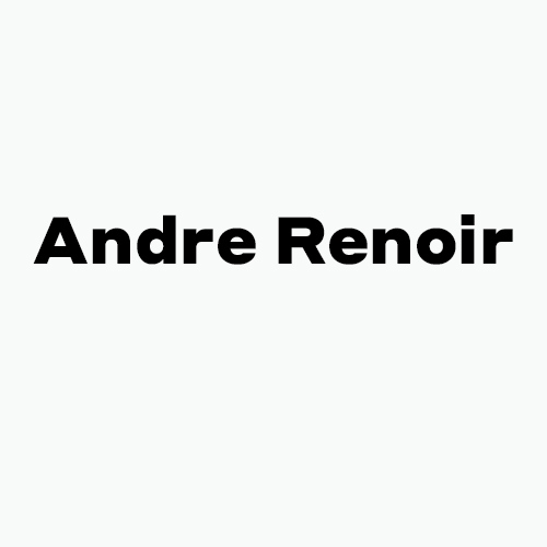 Бренд ANDRE RENOIR