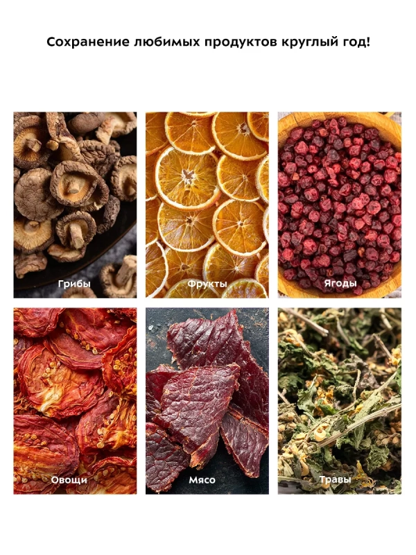 Сушилка для овощей и фруктов электрическая КТ-1990 - 240 Вт Сушилка для овощей и фруктов электрическая КТ-1990 - 240 Вт