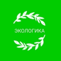 Гель для мытья посуды "Ecologica", экстракт хлопка и семян льна, дойпак, 750 мл