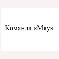 Набор для рисования светом «Команда Мяу»