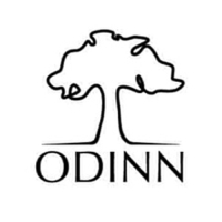 Смазка для цепи всепогодная Odinn, 100 мл