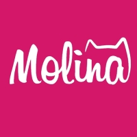 Сироп Mollina имбирный пряник, 345 г