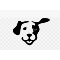 lost dog