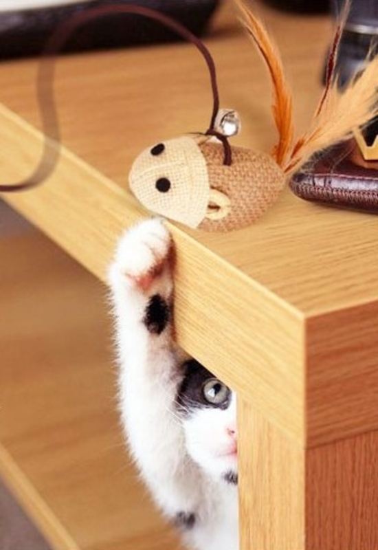 Удочка дразнилка для кошек из натуральных материалов Удочка дразнилка для кошек из натуральных материалов