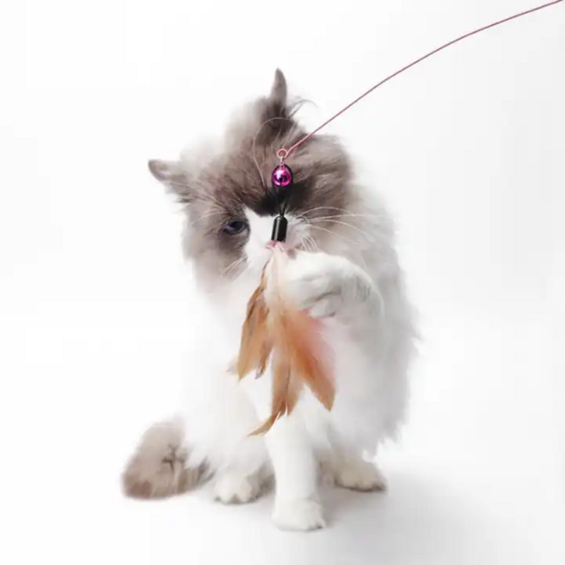 Удочка дразнилка для кошек (металлическая) с перьями Удочка дразнилка для кошек (металлическая) с перьями