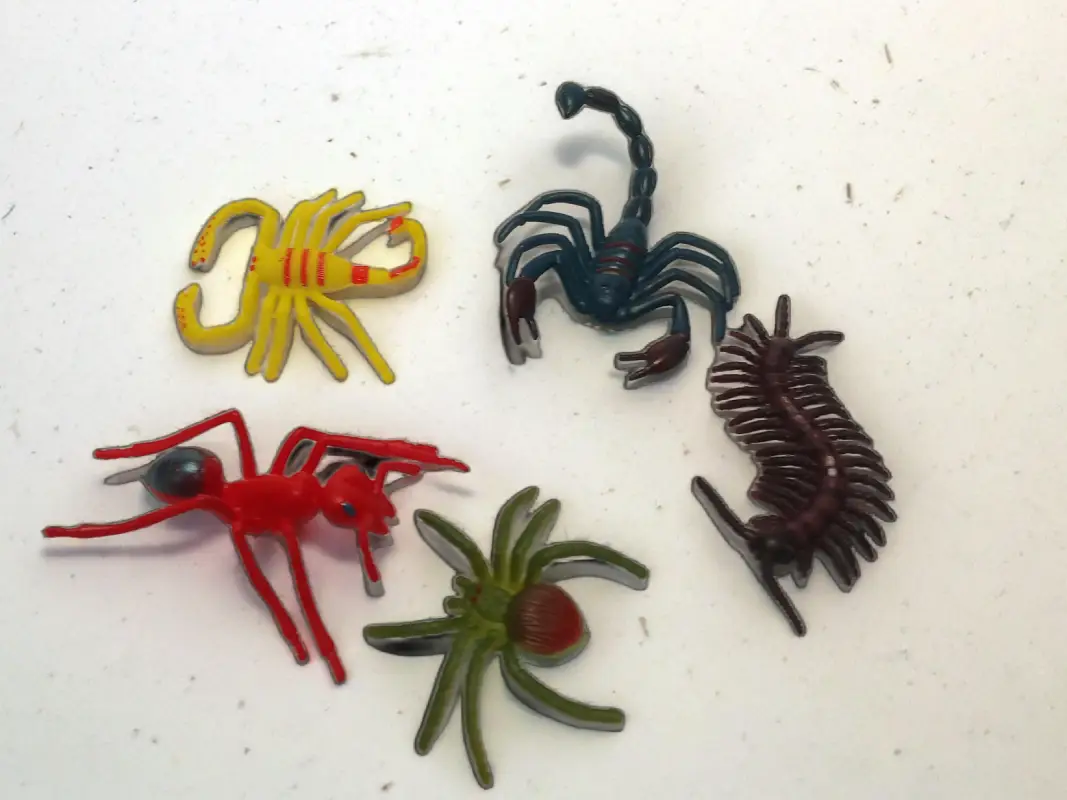 Набор насекомых