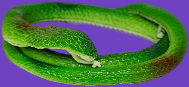 Антистресс игрушка змея