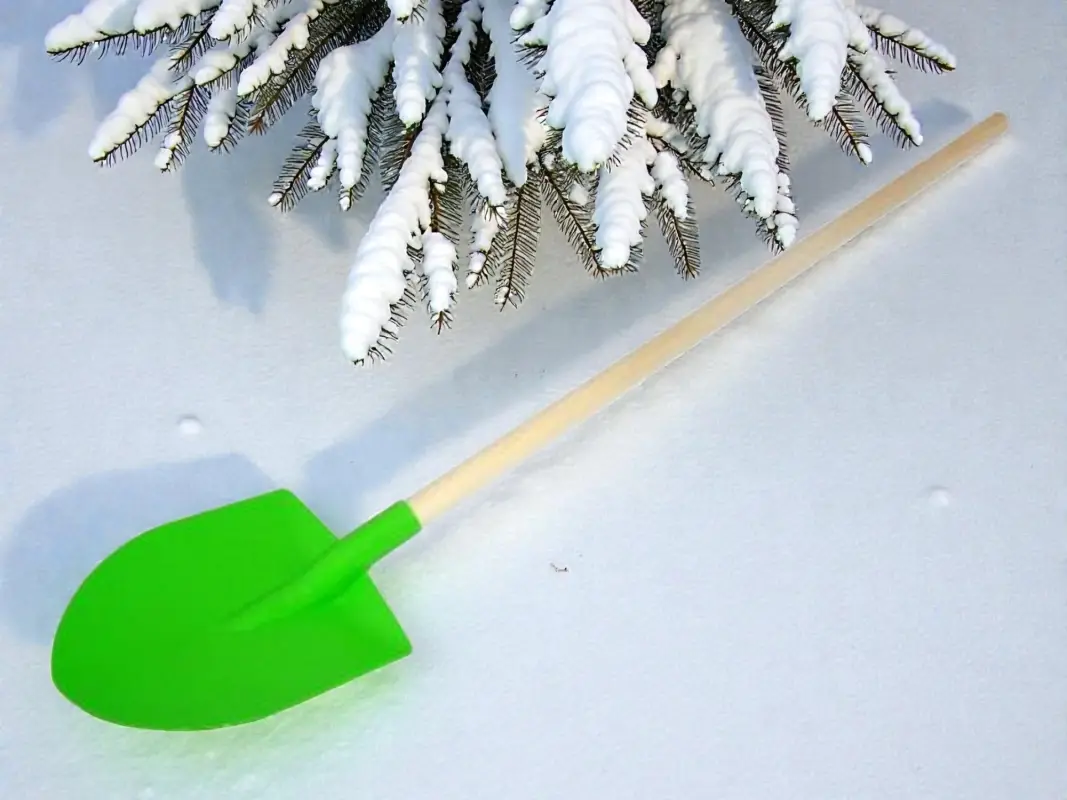 Лопата детская деревянный черенок