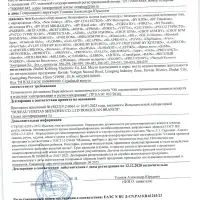 LEBEN Капучинатор, 1 насадка, 1 скорость, металл, пластик, питание 2xАА