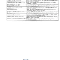 SATOSHI Алион Кисточка 26см, силикон