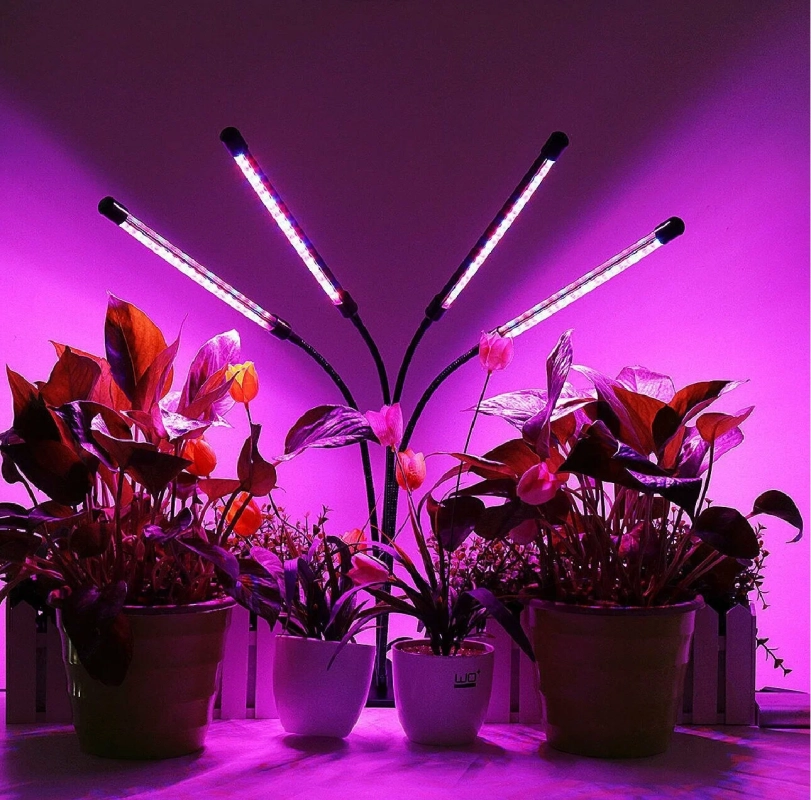Фитолампа для растений и рассады Фитолампа для растений и рассады