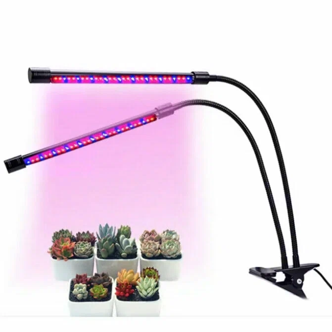 Фитолампа для растений и рассады Фитолампа для растений и рассады