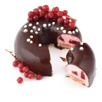 Силиконовая форма для муссовых десертов "Классика"