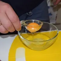 Сепаратор для яиц