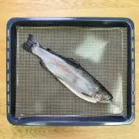 Сетка-коврик для духовки и барбекю, 42х36см