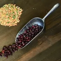 Ложка черпак для сыпучих продуктов 18см Ложка черпак для сыпучих продуктов 18см