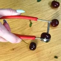 Косточковыдавливатель (ассортимент) Косточковыдавливатель (ассортимент)