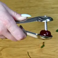 Косточковыдавливатель 13см