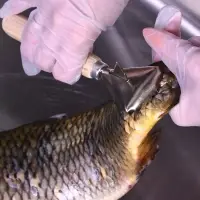 Рыбочистка с ножом Рыбочистка с ножом