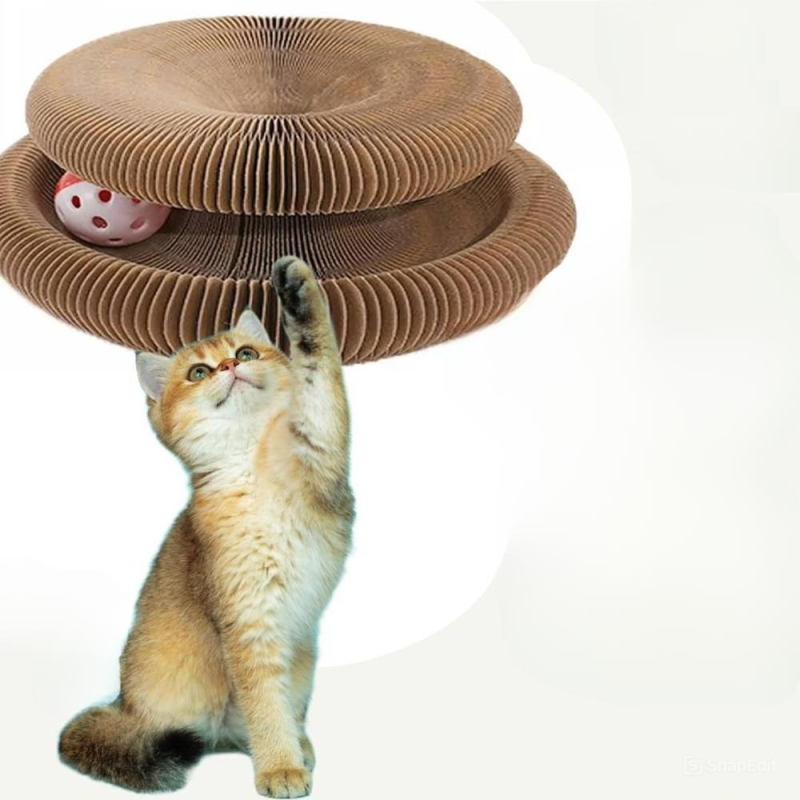 Картонная лежанка-когтеточка Картонная лежанка-когтеточка