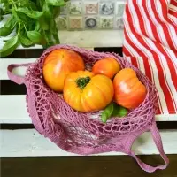 Сумка для покупок с ручками Ретро Авоська Колор 50х45 см (ассортимент)