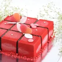 Силиконовая форма для муссовых тортов "Геометрия"