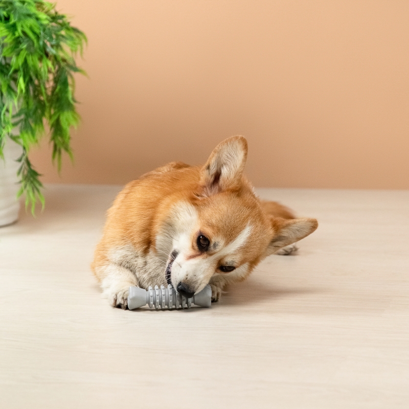 VETTA Игрушка для домашних животных, ТПР, 12,5 см VETTA Игрушка для домашних животных, ТПР, 12,5 см