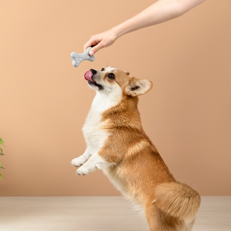 VETTA Игрушка для домашних животных, ТПР, 10х5 см VETTA Игрушка для домашних животных, ТПР, 10х5 см