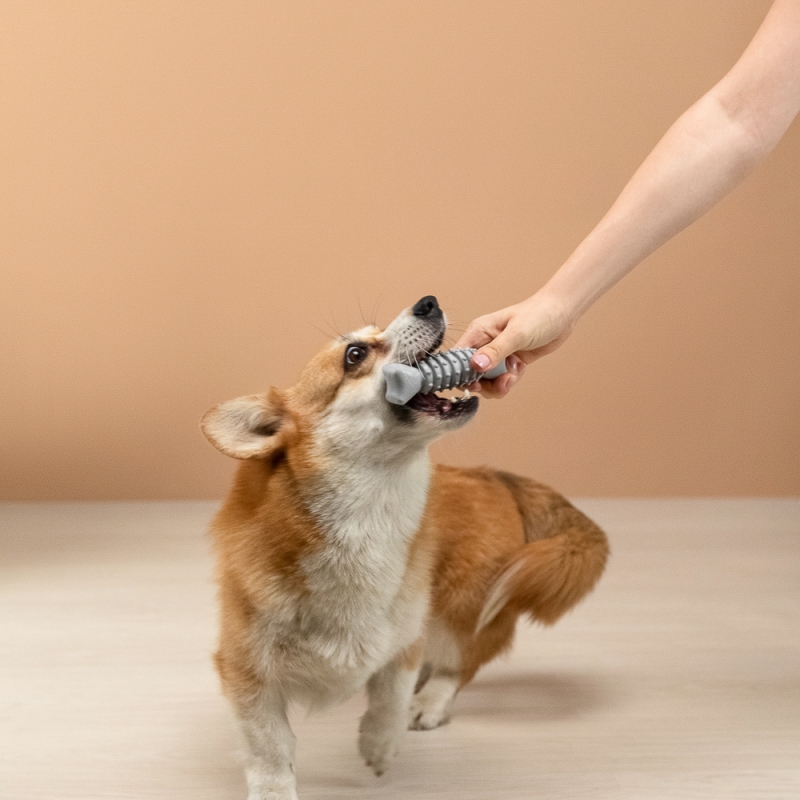 VETTA Игрушка для домашних животных, ТПР, 12,5 см VETTA Игрушка для домашних животных, ТПР, 12,5 см