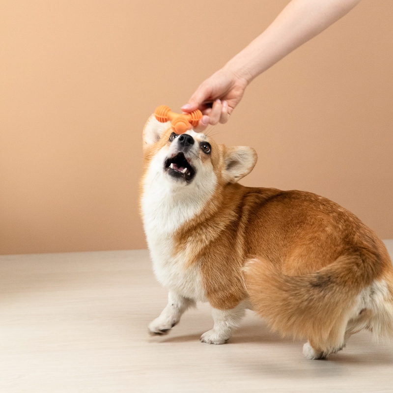 VETTA Игрушка для домашних животных, ТПР, 8х5,5 см VETTA Игрушка для домашних животных, ТПР, 8х5,5 см