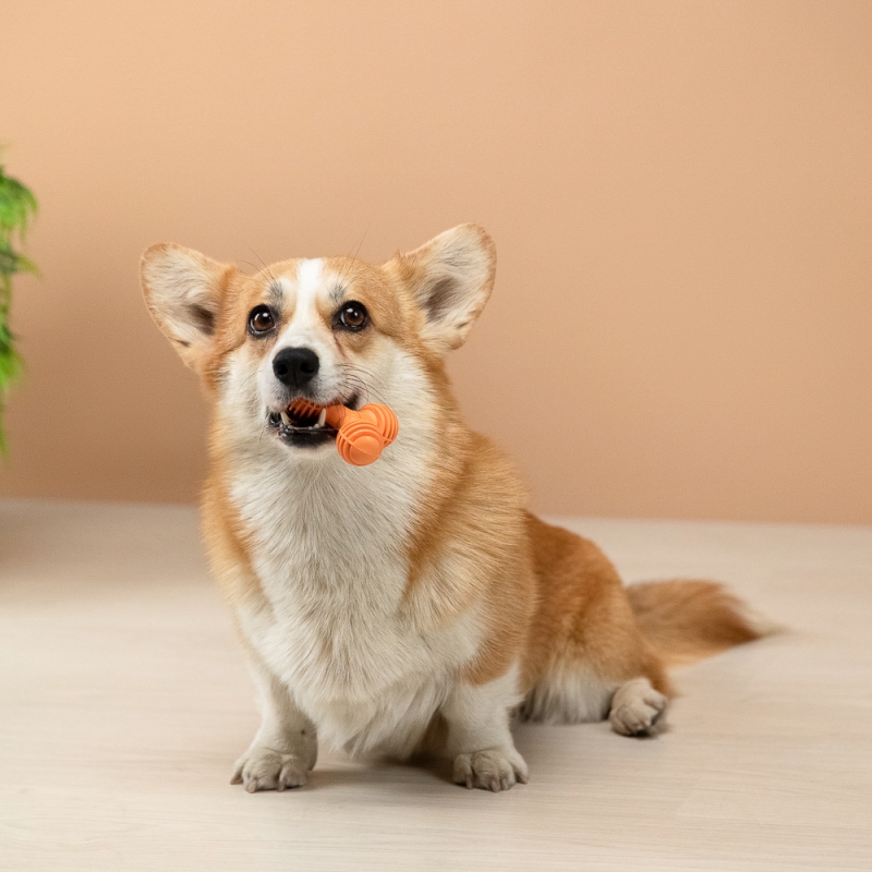 VETTA Игрушка для домашних животных, ТПР, 8х5,5 см VETTA Игрушка для домашних животных, ТПР, 8х5,5 см