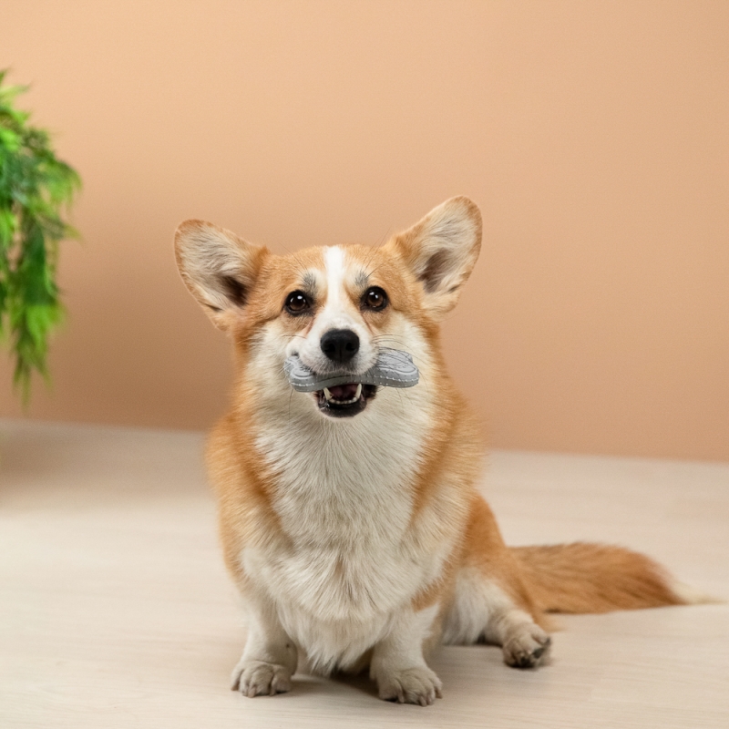 VETTA Игрушка для домашних животных, ТПР, 10х5 см VETTA Игрушка для домашних животных, ТПР, 10х5 см