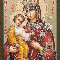 Икона БМ "Неувядаемый Цвет" 4х6 на МДФ-6 Икона БМ "Неувядаемый Цвет" 4х6 на МДФ-6