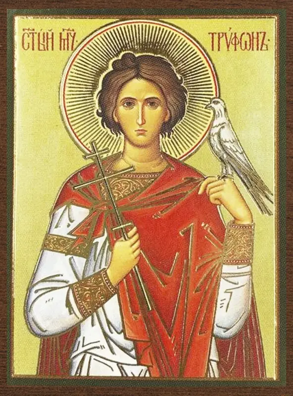 Икона "Трифон Апамейский" 4х6 на МДФ-6