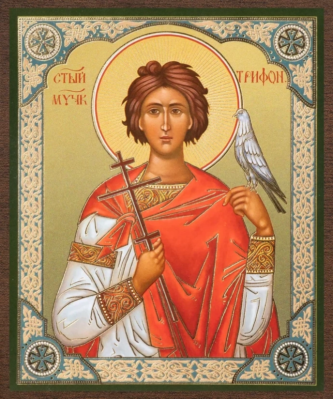 Икона "Трифон Апамейский" 10х12 на МДФ-6