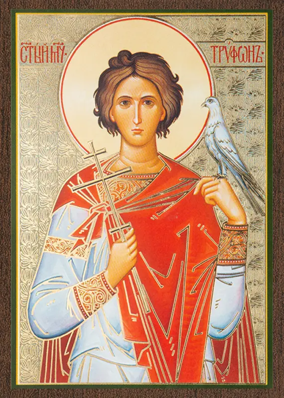 Икона "Трифон Апамейский" 6х9 на МДФ-6