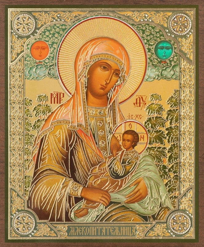 Икона БМ "Млекопитательница", вид 2, 10х12 на МДФ-6 (1012-1568)